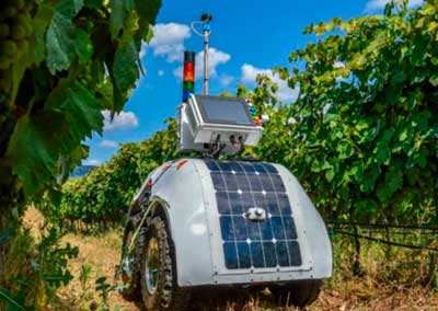Investigadores de la Politécnica de Valencia presentan un robot para la viticultura del futuro